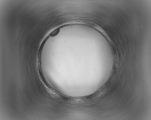 X0000062151101200512301547