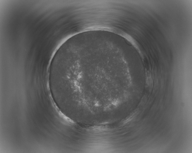 X0000062151102200512301547