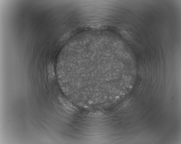 X0000062151106200512301546