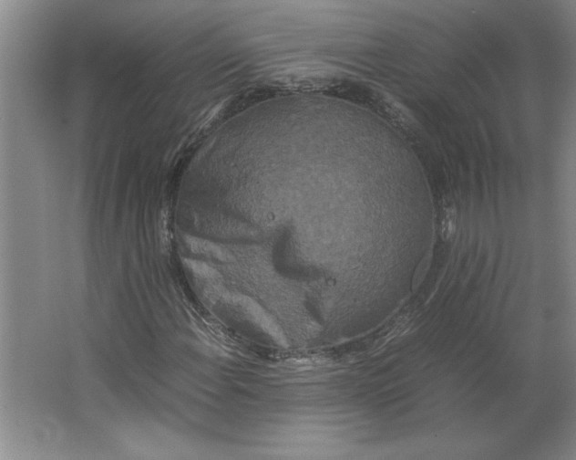 X0000062151108200512301546