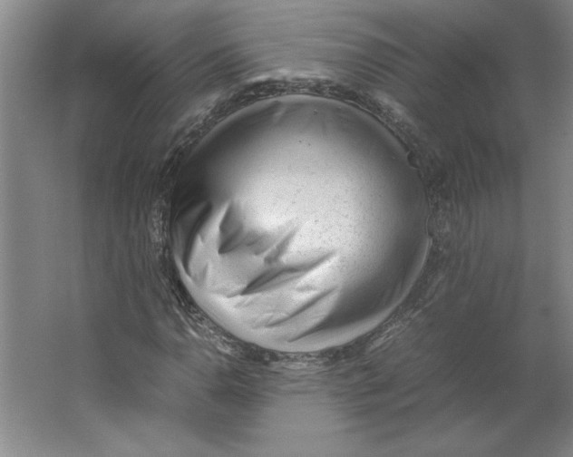 X0000062151110200512301546