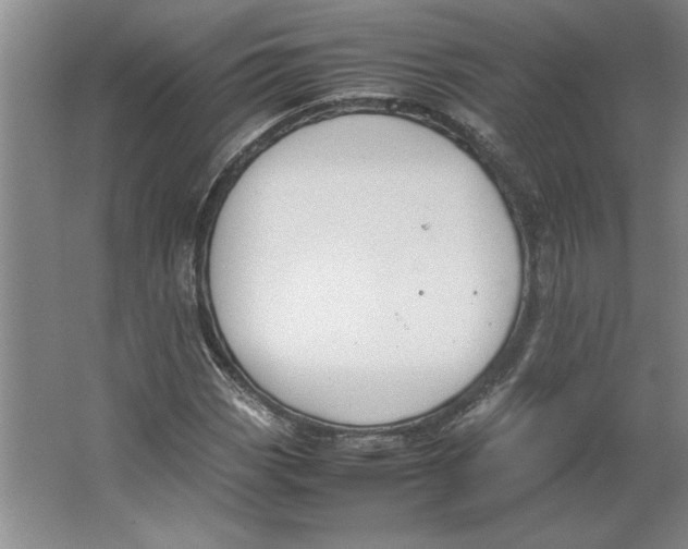 X0000062151113200512301546
