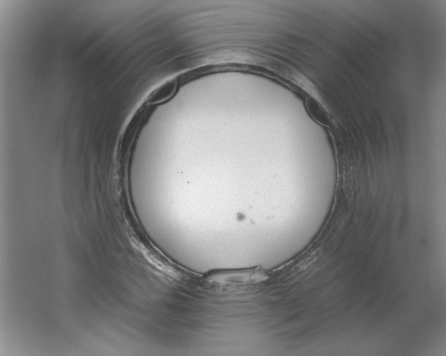 X0000062151116200512301546
