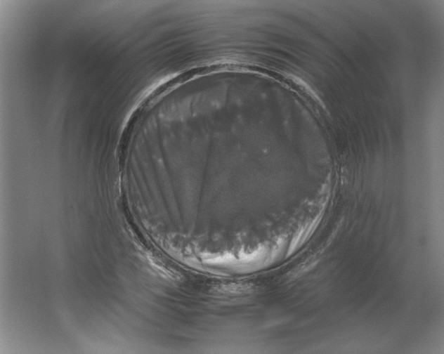 X0000062151117200512301546