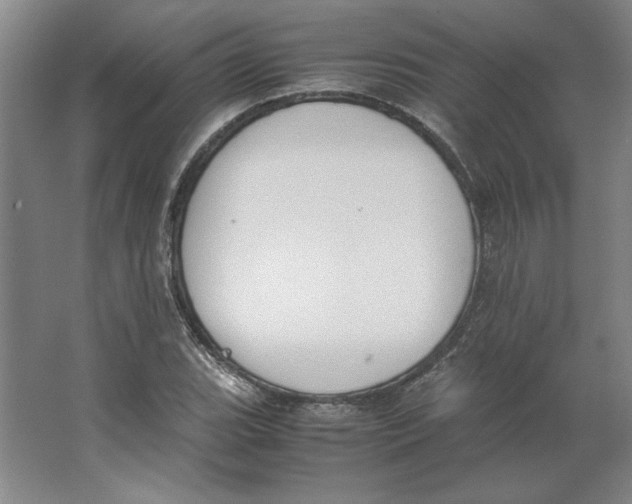X0000062151119200512301546