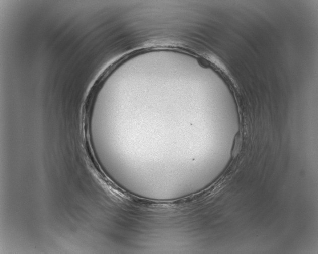 X0000062151124200512301546