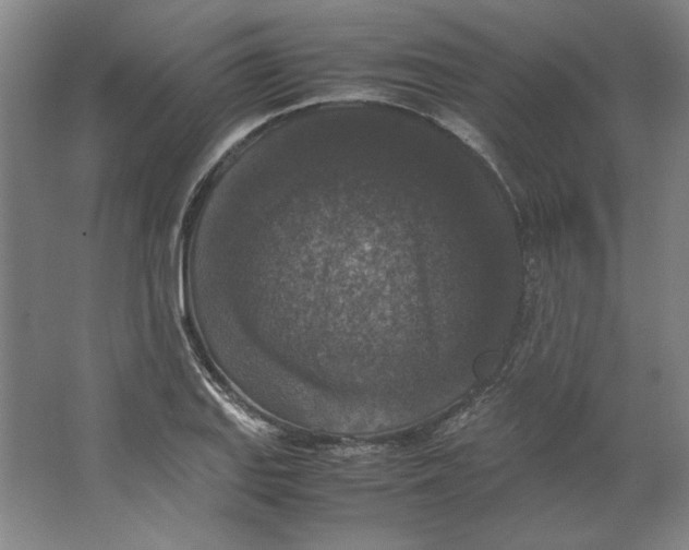X0000062151127200512301546