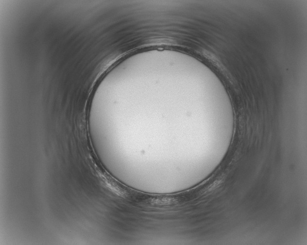 X0000062151129200512301546