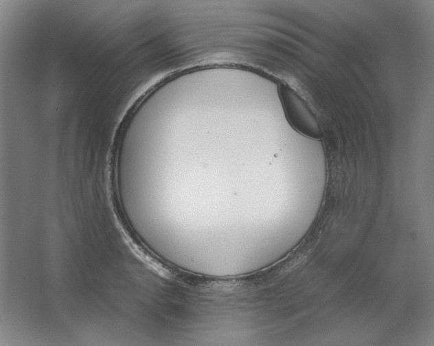 X0000062151134200512301546