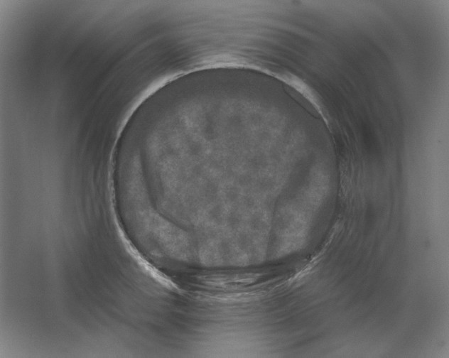 X0000062151142200512301546