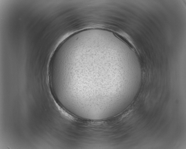 X0000062151143200512301546
