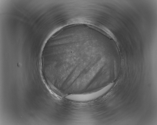 X0000062151144200512301546