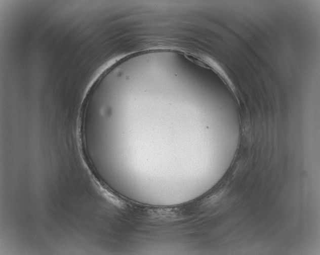 X0000062151149200512301546