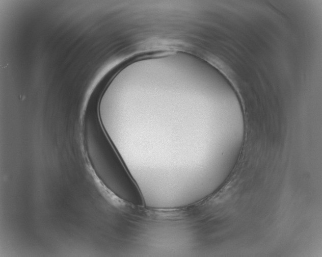 X0000062151152200512301547