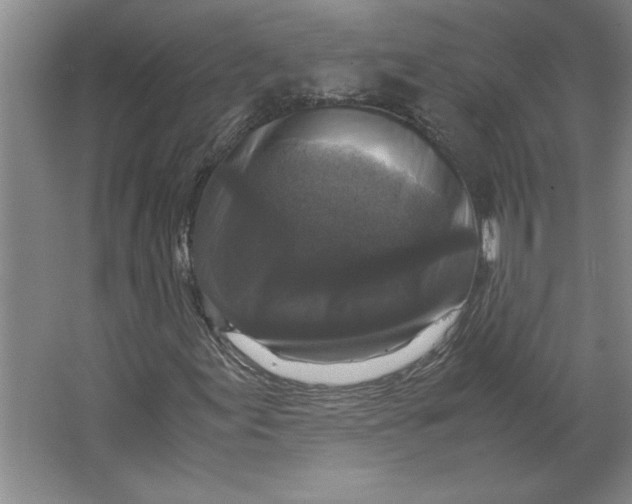 X0000062151155200512301546