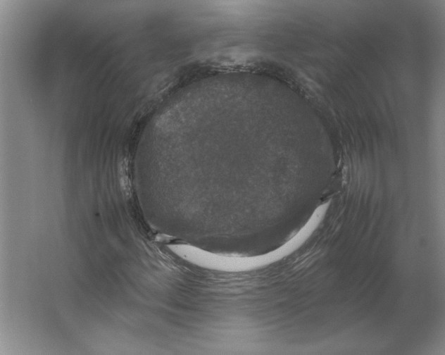 X0000062151156200512301546