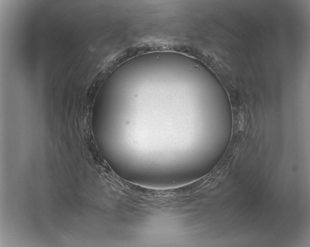 X0000062151157200512301546