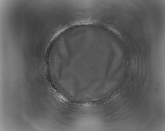X0000062151160200512301546