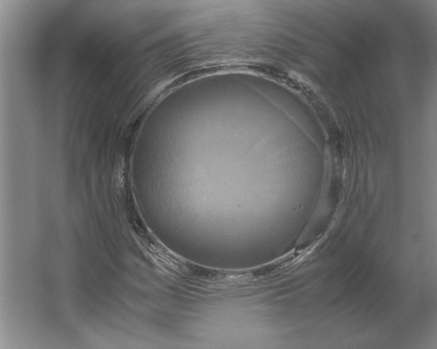 X0000062151161200512301546