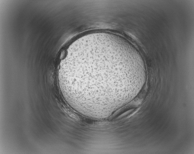 X0000062151163200512301546