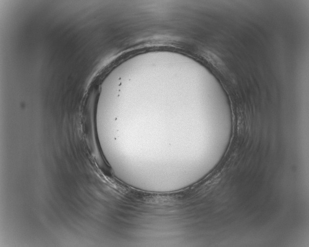 X0000062151164200512301546