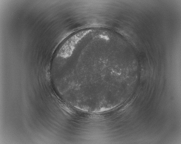 X0000062151170200512301545