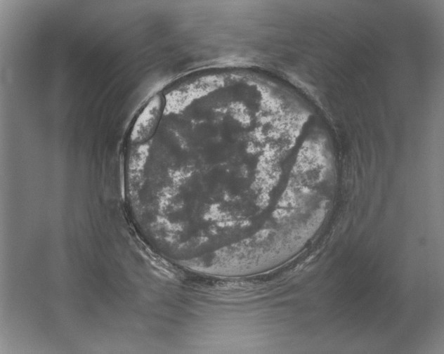 X0000062151171200512301545