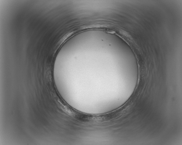 X0000062151177200512301545
