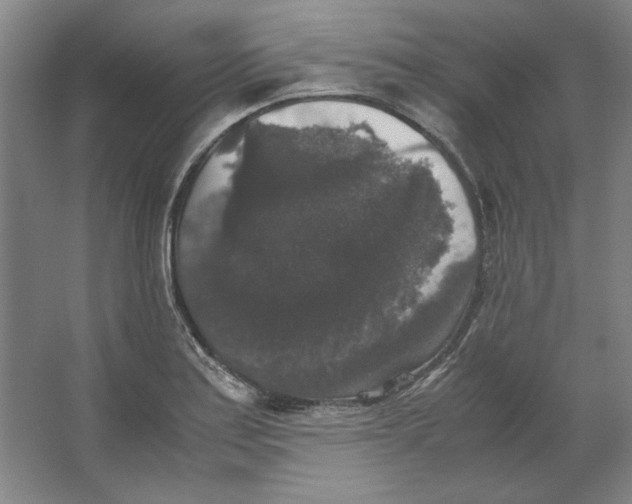 X0000062151179200512301545
