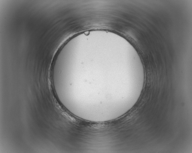 X0000062151182200512301545