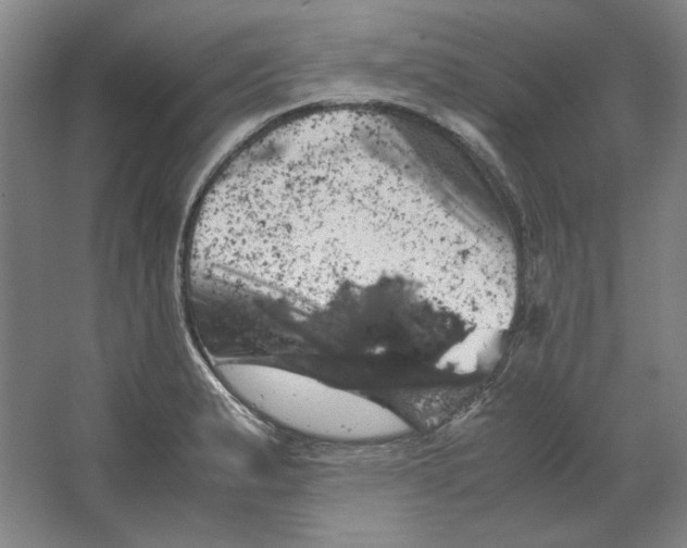 X0000062151183200512301545