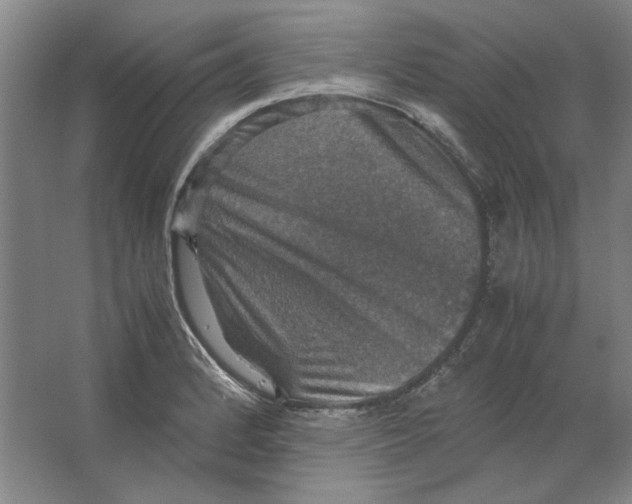 X0000062151184200512301545