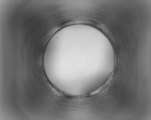 X0000062151185200512301545