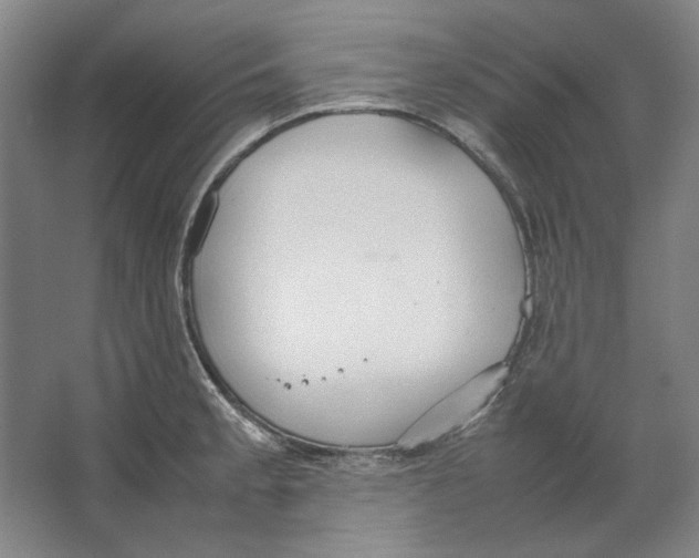 X0000062151189200512301545