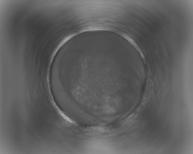 X0000062151197200512301545