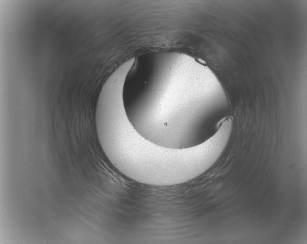 X0000062151202200512301544