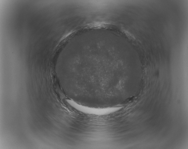 X0000062151206200512301544