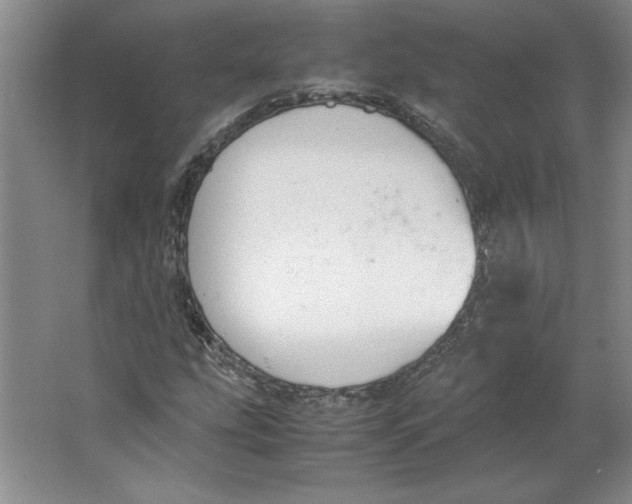X0000062151207200512301544