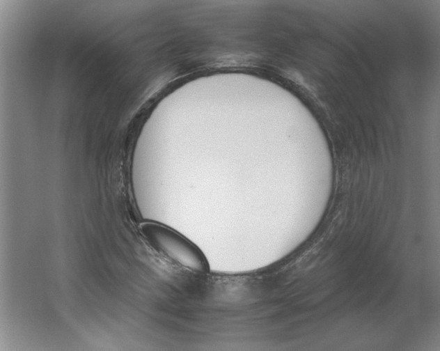 X0000062151211200512301544