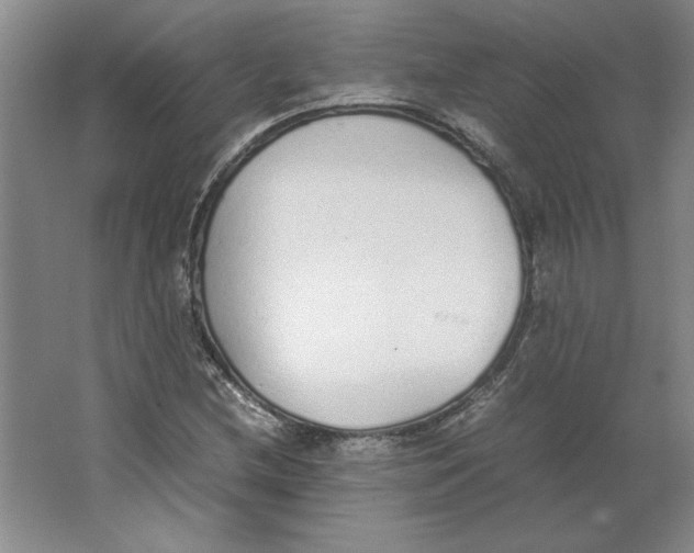 X0000062151212200512301544
