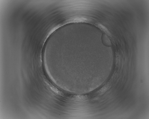 X0000062151226200512301545