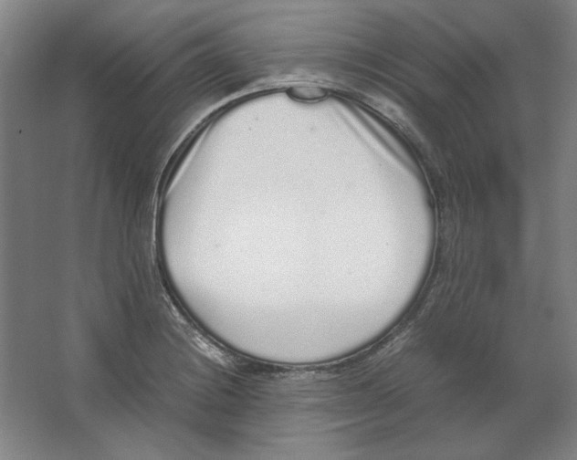 X0000062151228200512301545