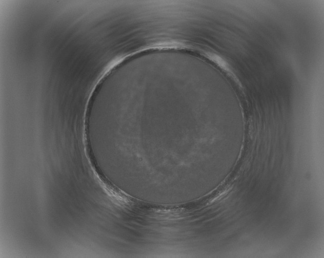 X0000062151229200512301545