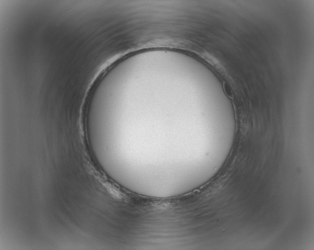 X0000062151230200512301545