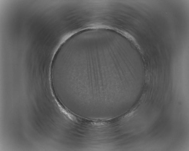 X0000062151231200512301545