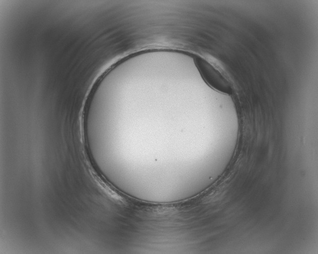 X0000062151238200512301545