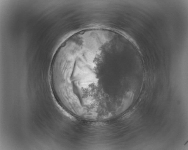 X0000062151239200512301545
