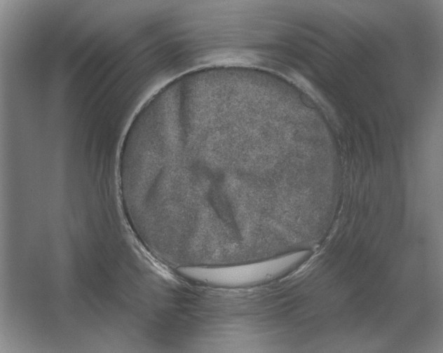 X0000062151240200512301545