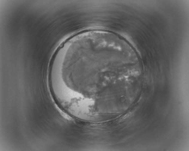 X0000062151245200512301545
