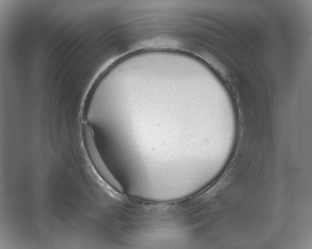 X0000062151248200512301545